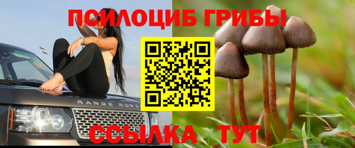 Псилоцибиновые грибы Psilocybe  где найти наркотики  Конаково  Вход с VPN 